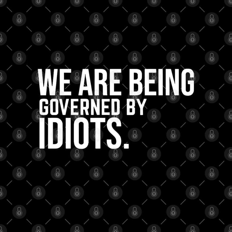We are being governed by idiots
