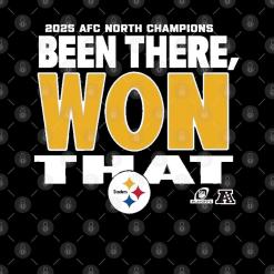 Pittsburgh steelers 2020 afc north champions been there, won that